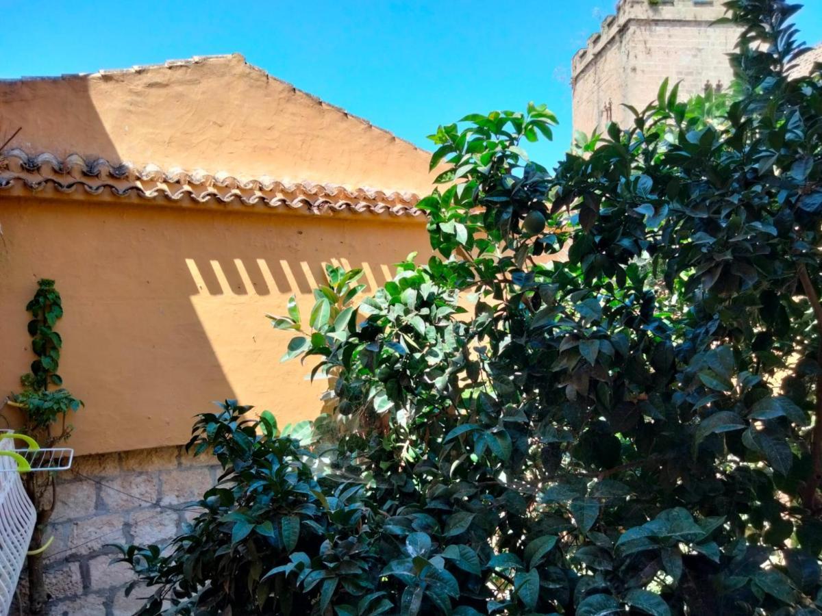 Estudio Castillo Dénia Esterno foto